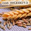 wceb013.jpg