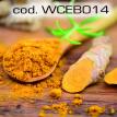 wceb014.jpg