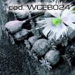 wceb024.jpg