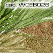 wceb026.jpg