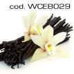 wceb029.jpg