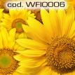 wfio006.jpg
