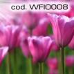 wfio008.jpg