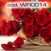 wfio014.jpg
