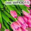 wfio015.jpg