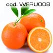 wfru008.jpg
