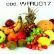 wfru017.jpg