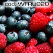 wfru020.jpg