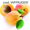 wfru022.jpg
