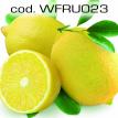 wfru023.jpg