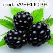 wfru026.jpg
