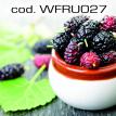 wfru027.jpg