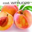 wfru029.jpg