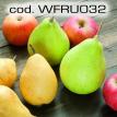 wfru032.jpg