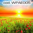 wpae005.jpg