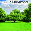 wpae007.jpg