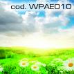 wpae010.jpg
