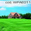 wpae011.jpg