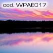 wpae017.jpg
