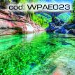 wpae023.jpg