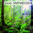 wpae024.jpg
