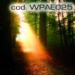 wpae025.jpg