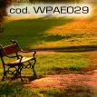 wpae029.jpg