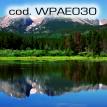 wpae030.jpg