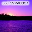 wpae031.jpg