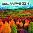 wpae034.jpg