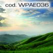 wpae036.jpg