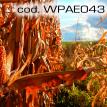 wpae043.jpg