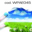 wpae045.jpg