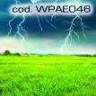 wpae046.jpg