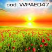 wpae047.jpg