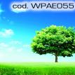wpae055.jpg