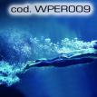 wper009.jpg