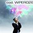 wper028.jpg