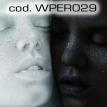 wper029.jpg