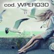 wper030.jpg