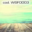 wsfo003.jpg