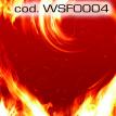 wsfo004.jpg