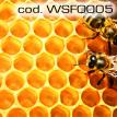 wsfo005.jpg