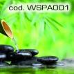 wspa001.jpg