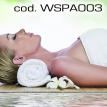 wspa003.jpg