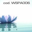 wspa006.jpg