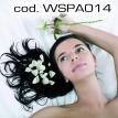 wspa014.jpg