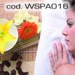 wspa016.jpg